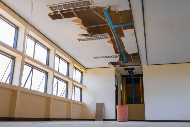  Negaunee, MI Water damage restoration Pros