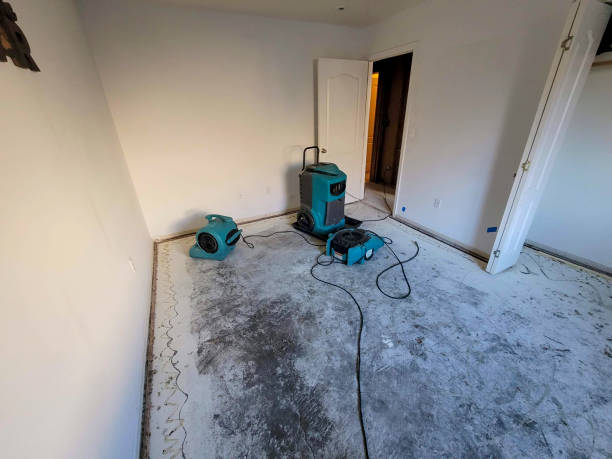 Best Local water damage restoration  in Negaunee, MI