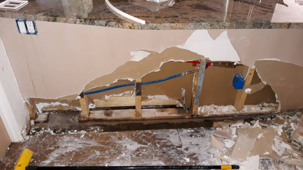 Best Emergency water damage restoration  in Negaunee, MI