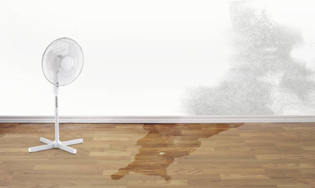 Local water damage restoration in MI